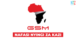 GSM Group Vacancies 2026
