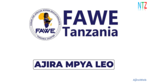 FAWE Tanzania Office Assistant 2026