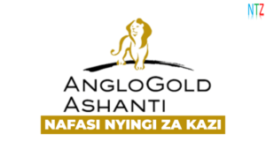 FINCA Microfinance Bank Tanzania Vacancies 2026 || Amazing Banking Jobs Now Open! Geita Gold Mining Ltd Vacancies 2026