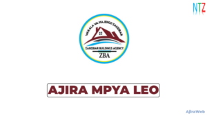 FINCA Microfinance Bank Tanzania Vacancies 2026 || Amazing Banking Jobs Now Open! Zanzibar Building Agency Office Vacancies 2026