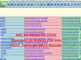 NECTA RESULTS 2024| Matokeo ya Kidato cha Sita 2024, Form six 2024 Results