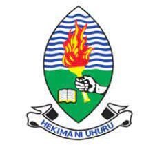 University of Dar es Salaam Vacancies