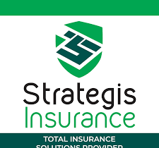 Strategis Insurance (T) Limited Vacancy, November 2023