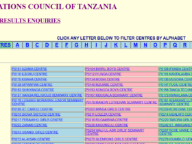 NECTA Form Four Results 2024 | Matokeo kidato cha nne 2024 NECTA Form Four results 2024 Tanzania, NECTA Form Four Results 2024 PDF Download, NECTA results 2024, Matokeo ya Kidato cha nne 2023 Tanzania, matokeo ya kidato cha nne 2023/24, Matokeo ya Kidato cha nne 2024 Tanzania live, Www NECTA go tz 2024, CSEE results 2024