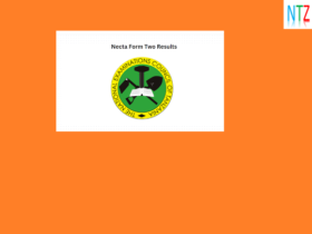 how to check Necta form two results 2023 (Matokeo ya kidato cha pili 2023)