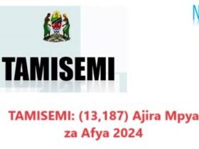 TAMISEMI: (13,187) Ajira Mpya za Afya 2024 -Health Sector Jobs 2024