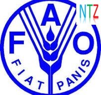 FAO - Tanzania Advertised Different Positions | July, 2024.