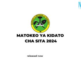 NECTA Form Six Results 2024 | NECTA Matokeo Kidato Cha Sita 2024 | Direct Link