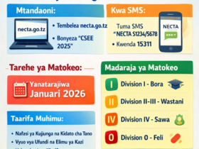 Matokeo ya Kidato cha Nne 2025