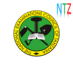 Darasa la Nne (SFNA) Results 2025 — NECTA