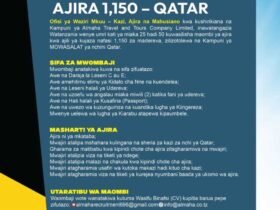 Qatar Job Opportunities 2026: 1,150 Driver Vacancies for Tanzanians