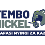 Tembo Nickel Vacancies 2026 | Apply Now for Mining Jobs in Tanzania